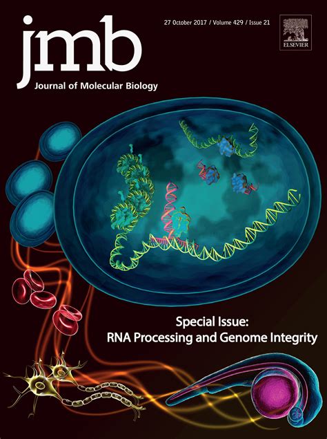 journal of molecular biology if