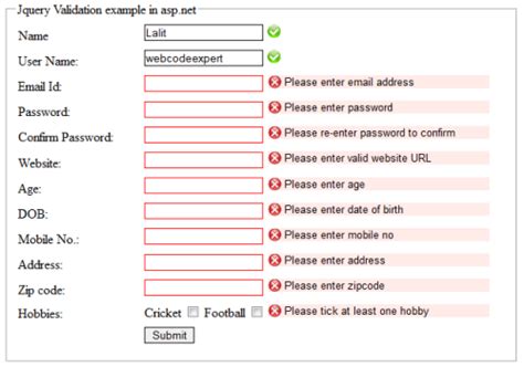 jquery form validation plugin example