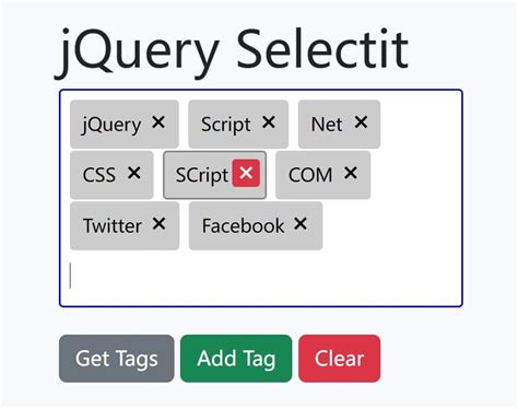 Jquery Multiple Tags