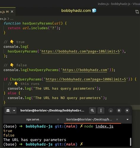 js check if url has parameters
