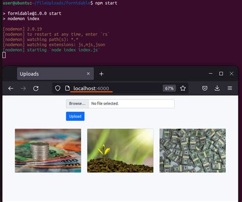 Js Display File Content