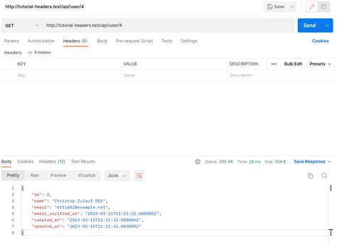 json api error example