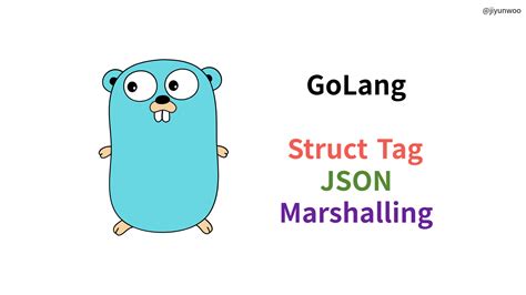 Json Tags Golang