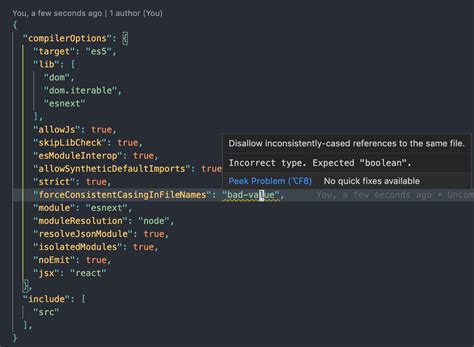 json to typescript definition