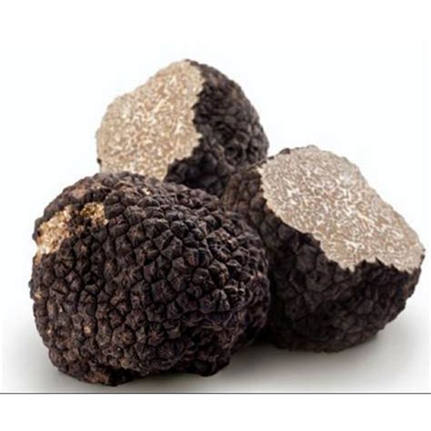 Jual Jamur Truffle