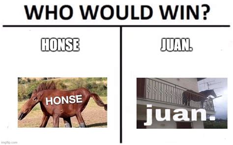 juan horse meme explained