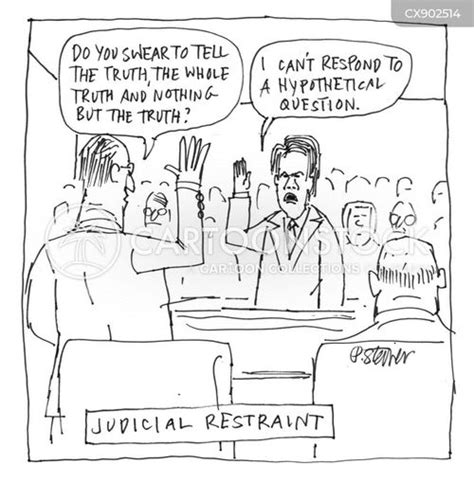 judicial review cartoon