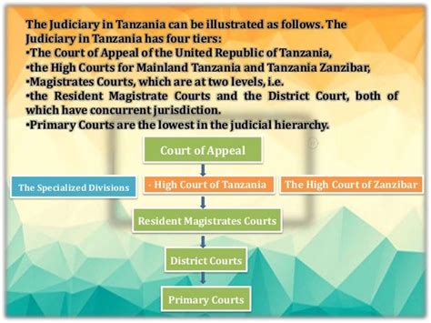 judicial system in tanzania