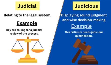 judicious meaning in urdu with example