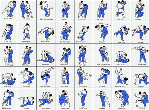 Judo Fighting Techniques