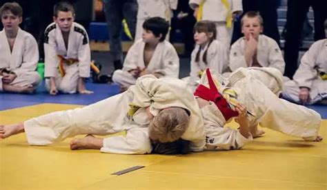 Judo Throws For Small Guys