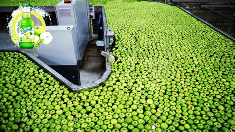 juice manufacturing companies in uae
