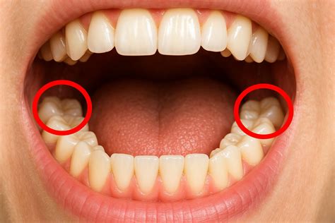 Famous Juicio A Los Humanos New