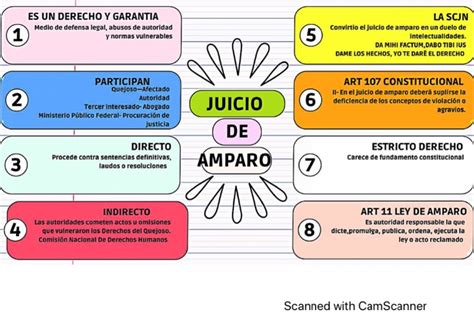 Mapa Conceptual_ley de amparo