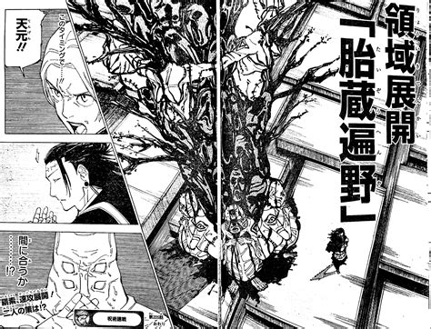 jujutsu kaisen chapter 256 raw scans