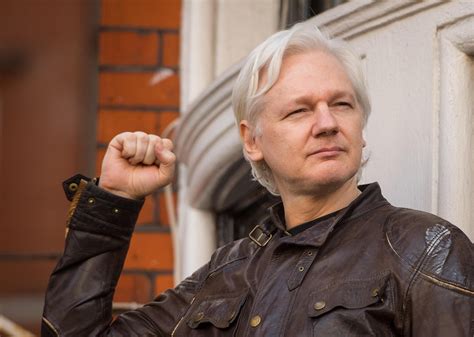 julian assange wikileaks pdfs