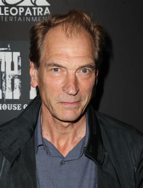 julian sands update on search for rare books