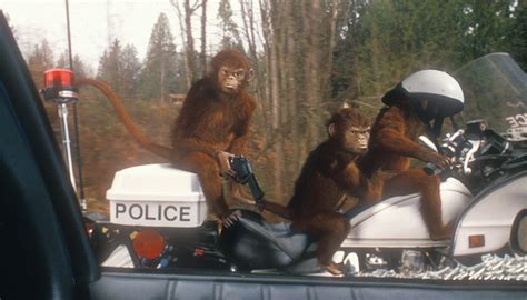 jumanji monkeys in police car