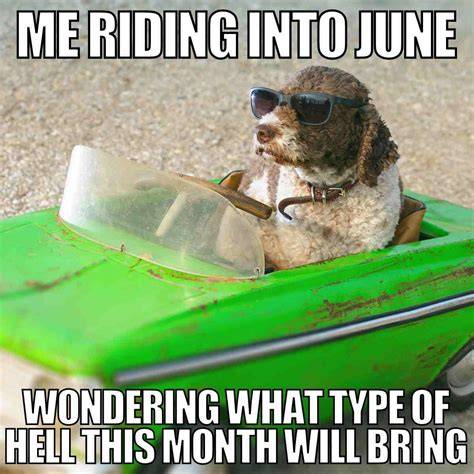 TOP 30 Memes That Made Us Laugh In June Bouncy Mustard