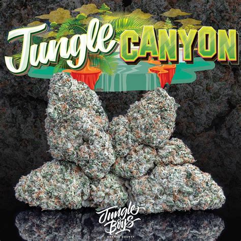 jungle canyon
