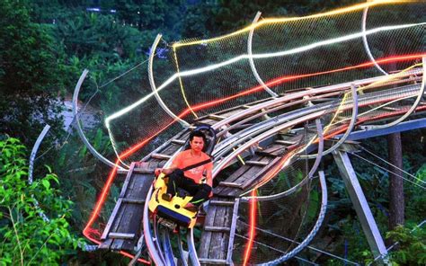 jungle coaster