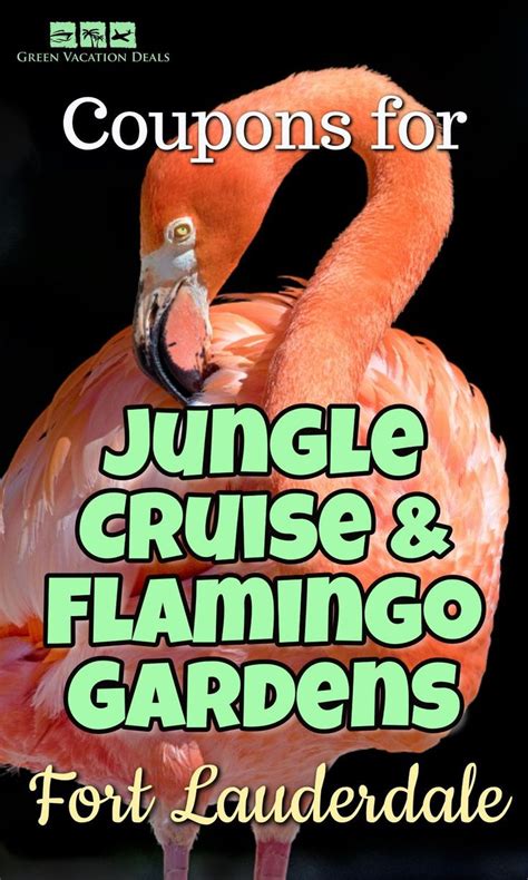 jungle cruise fort lauderdale coupon