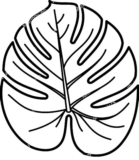 home.furnitureanddecorny.com:jungle leaves coloring pages