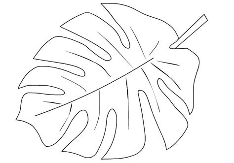 jungle leaves coloring pages