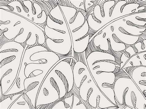 Jungle Leaves Drawing