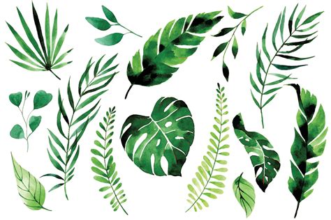 Jungle Leaves Drawing Background