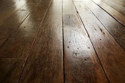jungle rustic wood floor