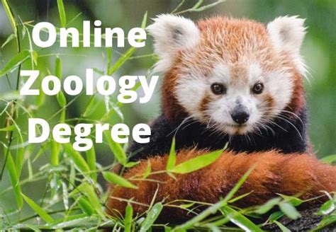 junior college online zoology degree