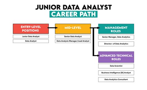 junior data analyst skills required