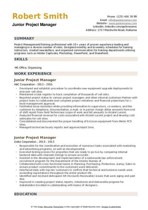 junior project manager resume summary