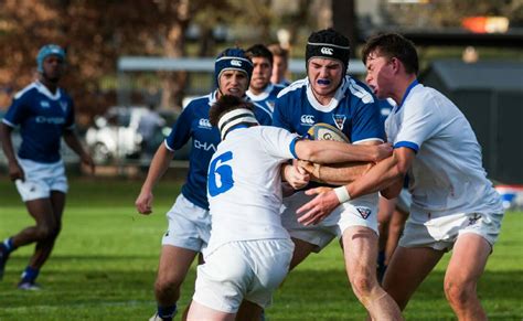 Junior Rugby Concussion Rules