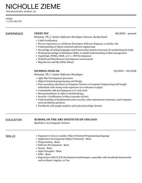 junior software developer resume sample
