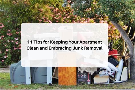 Junk Removal Apartment