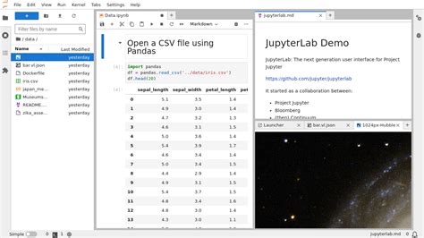 Jupyter Lab Tutorial Pdf