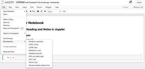 jupyter notebook add python module