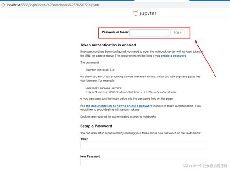Jupyter Notebook Token Or Password