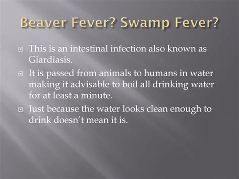 just in beaver fever