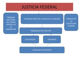 justicia federal y justicia ordinaria