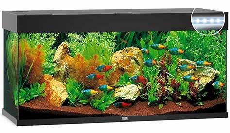 Juwel AG Rio 240 LED purchase online