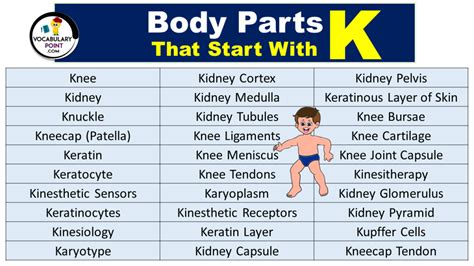 k body part