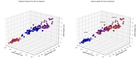 k means clustering iris data set python