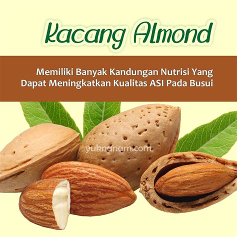 Temukan 10 Manfaat Kacang Almond yang Jarang Diketahui yang Akan Mengubah Kesehatan Anda
