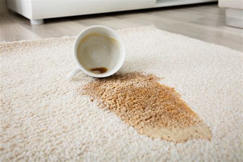 Kaffeeflecken entfernen Die besten Tipps und Hausmittel
