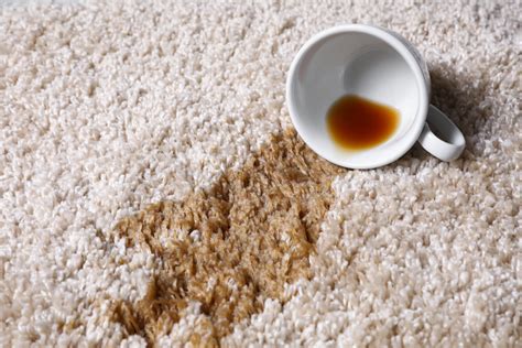 48+ großartig Bild Kaffeeflecken Im Teppich Entfernen Teppich