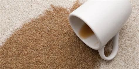 Remove Coffee Stains and Pet Stains from your Carpet