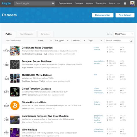 Kaggle Video Datasets